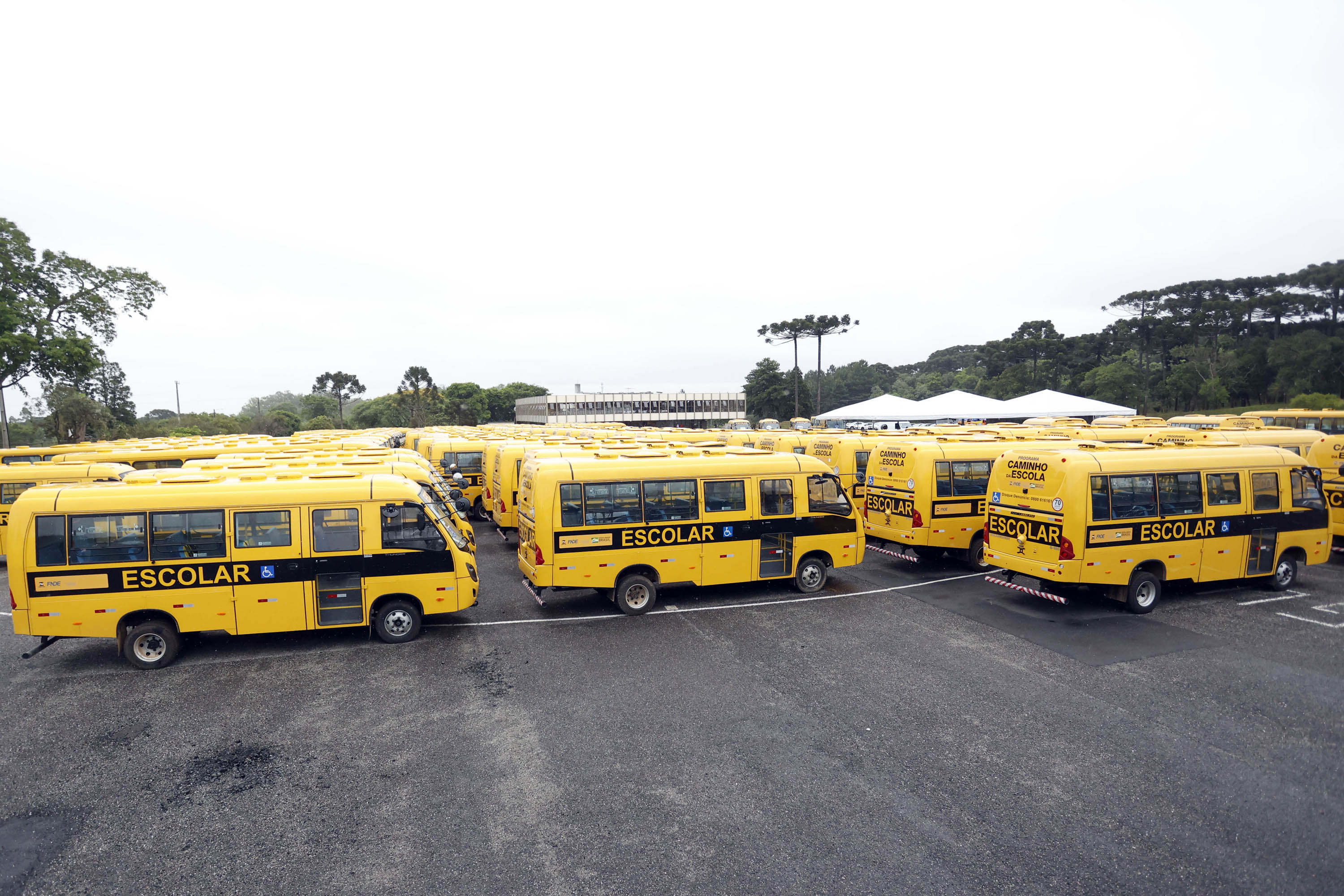 Governador entrega 128 ônibus para transporte de alunos das redes estadual  e municipais