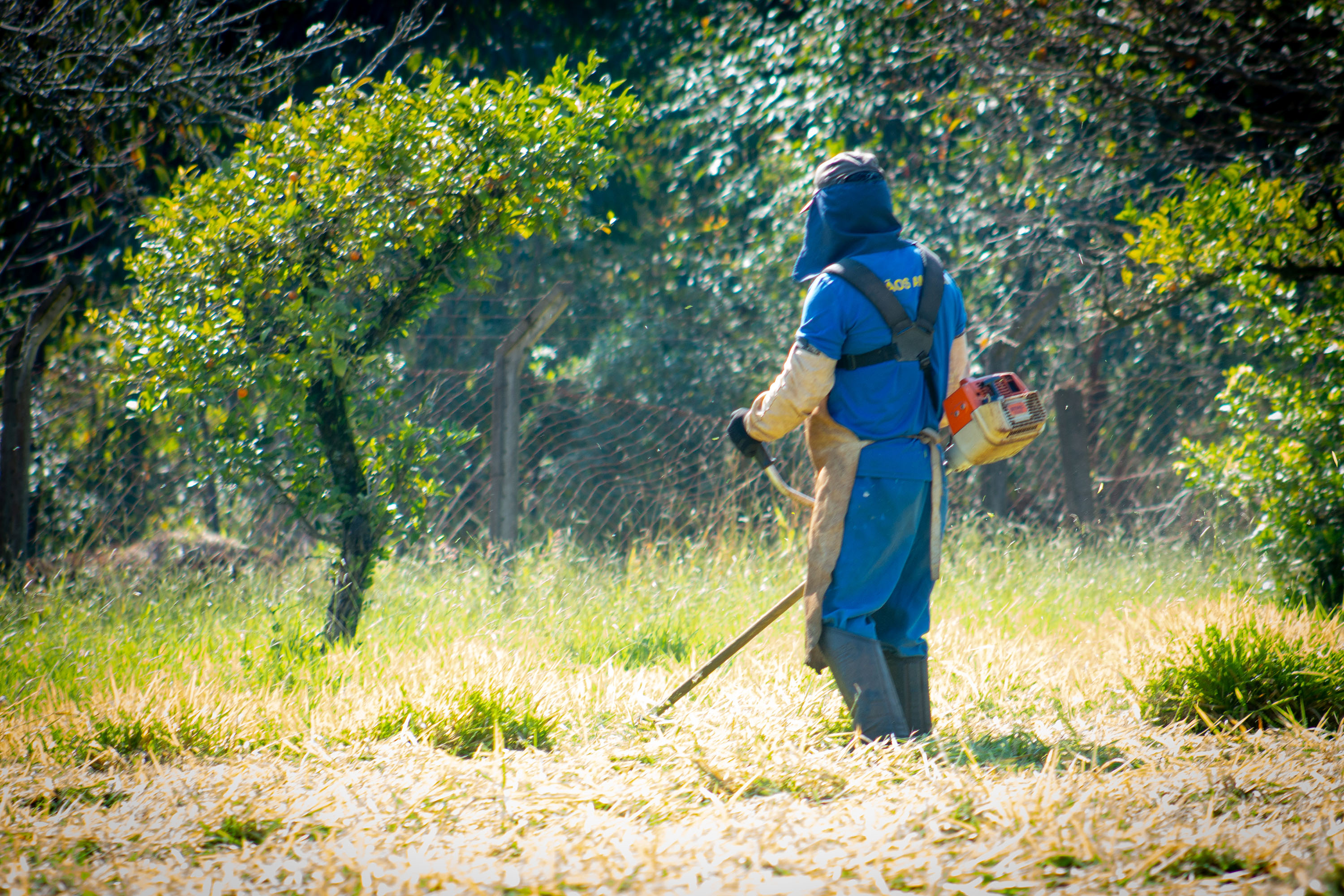 Governo do Paraná regulamenta Programa Mãos Amigas e fortalece ressocialização de detentos e promove a manutenção dos prédios escolares