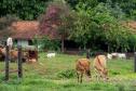 Colégio Agrícola