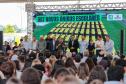 Entrega Bus