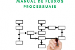 Manual de Fluxos Processuais