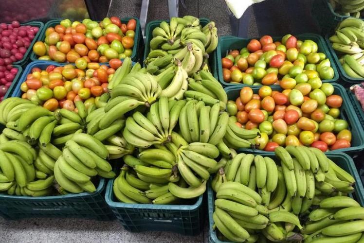 Escolas se preparam para a 14ª entrega de merenda nesta sexta