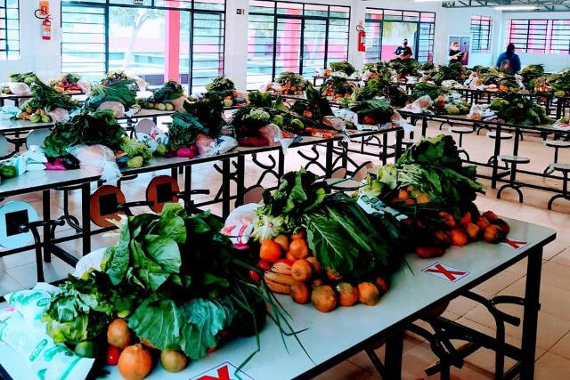 Os colégios estaduais farão nesta sexta-feira (28) a quinta entrega de alimentos do ano para as famílias mais vulneráveis da comunidade escolar. Novamente, todas as 2,1 mil escolas da rede vão distribuir kits de alimentos não perecíveis, como aconteceu na terceira entrega, no fim de abril, além de produtos da agricultura familiar.