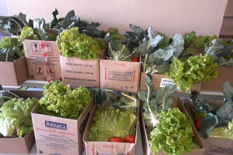 Escolas da rede estadual entregam nesta sexta-feira (11) alimentos às famílias mais vulneráveis da comunidade escolar. Desta vez a distribuição é de produtos da agricultura familiar. São 684 mil quilos em um investimento de R$ 4,2 milhões para cerca de 200 mil beneficiários nos mais de 2,1 mil colégios estaduais.