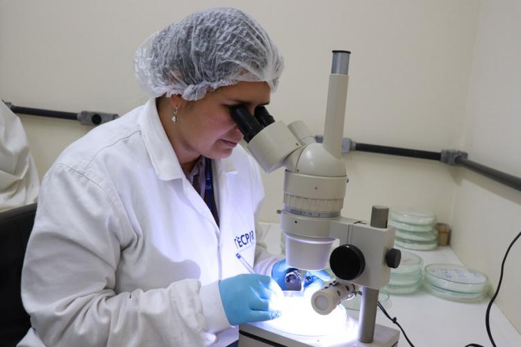 Com o contrato entre o Instituto de Tecnologia do Paraná e a Fundepar, o Governo do Estado assegura a qualidade das mais de 900 mil refeições servidas diariamente nos quase 2,3 mil estabelecimentos estaduais de ensino no Paraná.