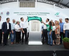Paraná abre primeira escola técnica de operação florestal do Brasil