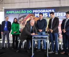 FOTO ALIMENTAÇÃO