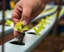 Ex-residência de governadores é transformada em centro de tecnologia para a Agricultura 4.0.