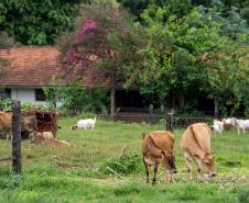 Colégio Agrícola