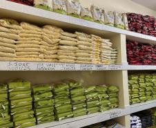 4,3 mil toneladas de alimentos: Governo entrega última remessa da merenda para as escolas