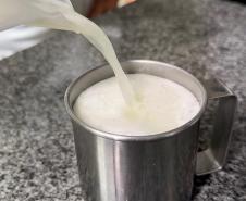 Governo do Paraná inclui água de coco no cardápio da alimentação escolar