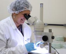 Análise de alimentos