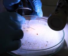 Análise de alimentos