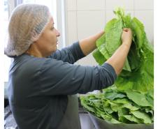 Agricultura Familiar 17 mil toneladas