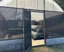 Biodigestor em Campo Magro