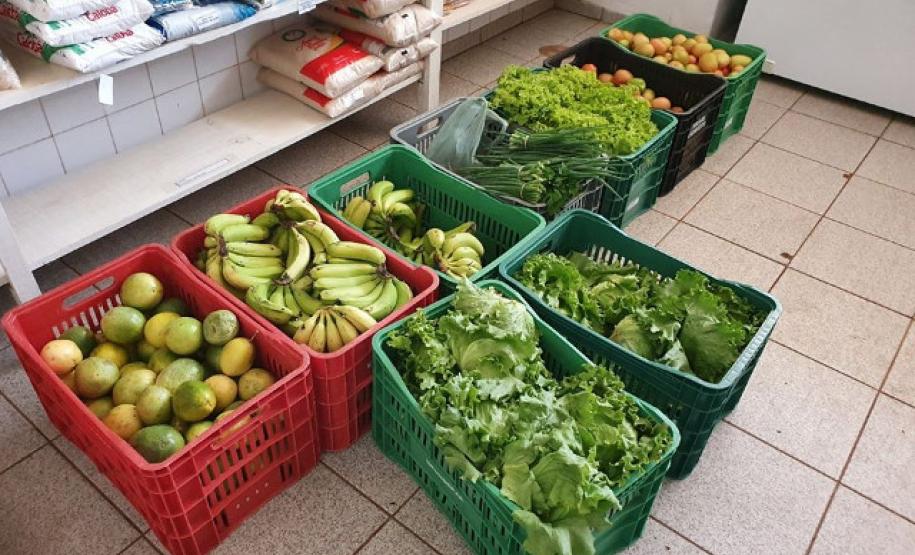 Instituto Paranaense de Desenvolvimento Educacional      Institucional     Contato     Transparência     Unidade de Controle Interno      Alimentação Escolar     Equipamentos e Tecnología     Fundo Rotativo     Obras     Transporte Escolar  Acesso Rápido:      Conselho Estadual de Alimentação Escolar     Contratos     Documentos oficiais     Informes e Editais     Aviso de Licitação     Obras Online     Sistema Integrado de Transferências SIT / TCE-PR     Convênios e Ajustes     Manual de fluxos processua