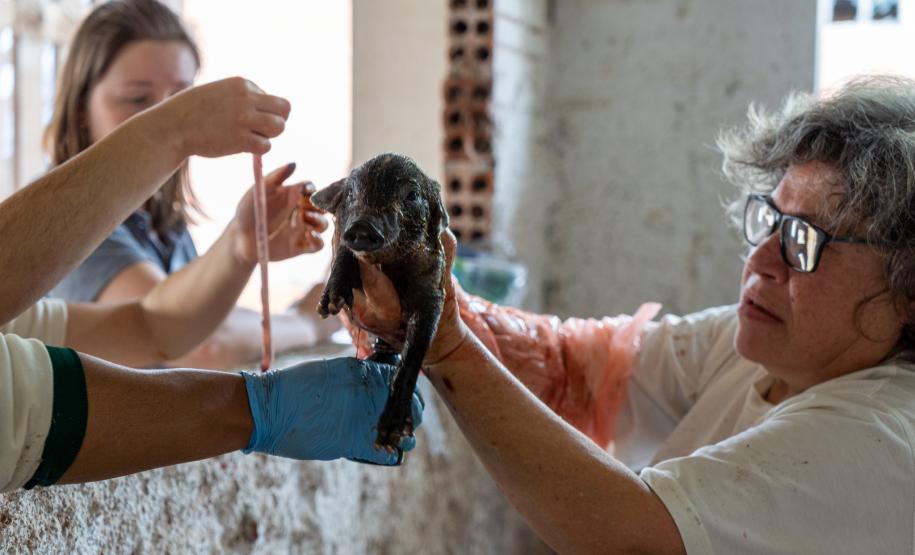 Ex-residência de governadores é transformada em centro de tecnologia para a Agricultura 4.0.