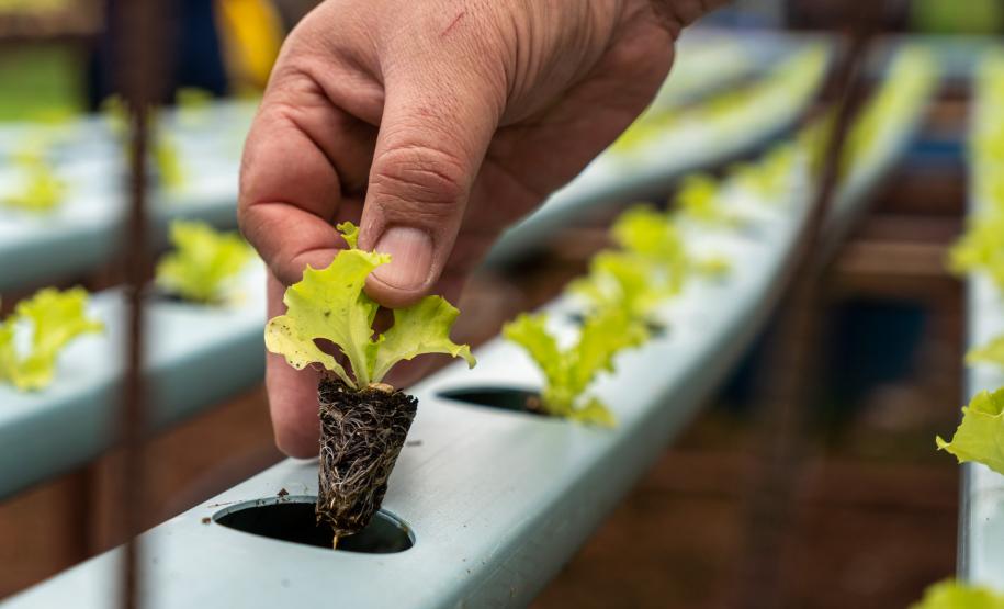 Ex-residência de governadores é transformada em centro de tecnologia para a Agricultura 4.0.