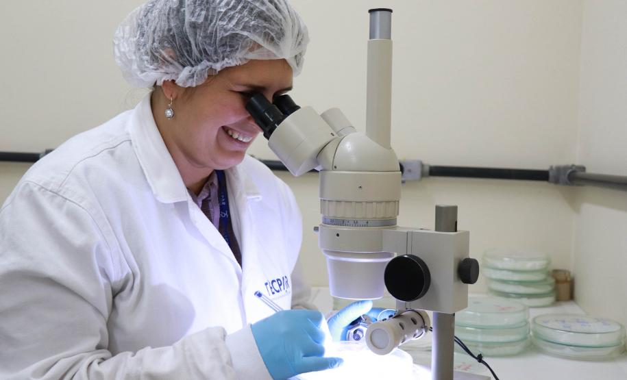 Foto: Karina Audrey/Fundepar