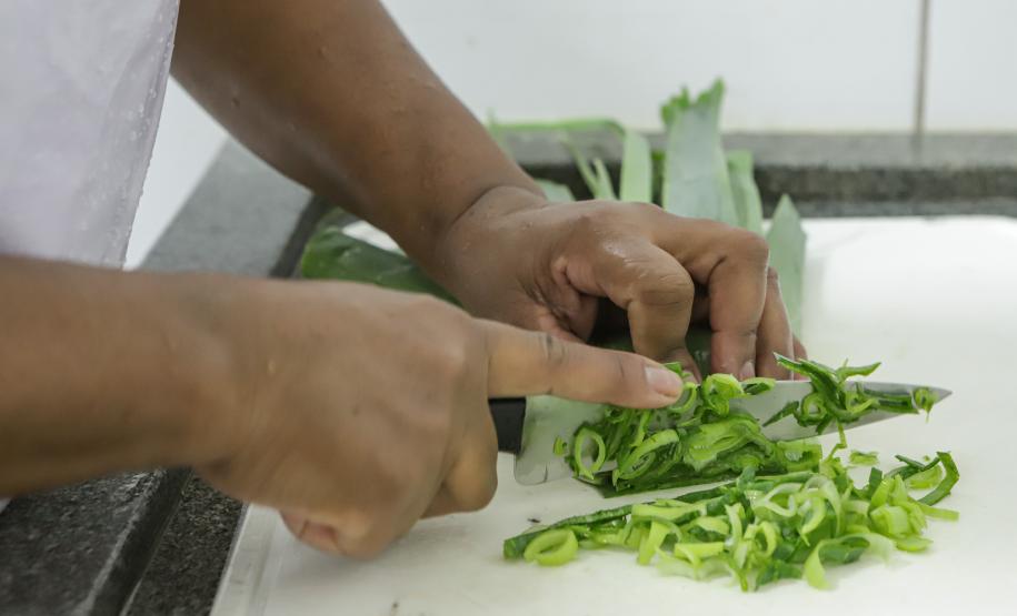 Alimentação escolar no Paraná tem aprovação superior a 84% entre pais e estudantes
