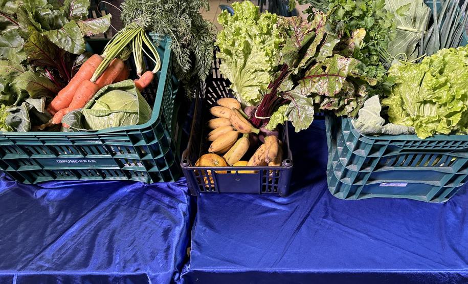 Estado oferece merenda em casa para 800 alunos que não podem ir à escola