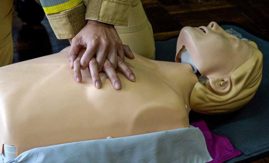 Estado capacita servidores da educação para atuar como brigadistas nas escolas