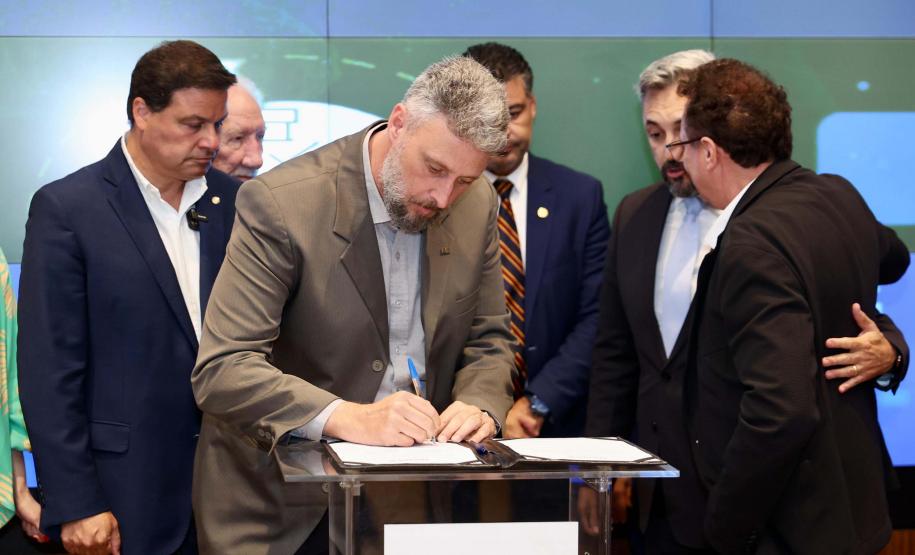 Rodrigo Felix Leal/SEIL