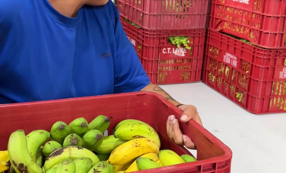 Foto: Anderson Carvalho