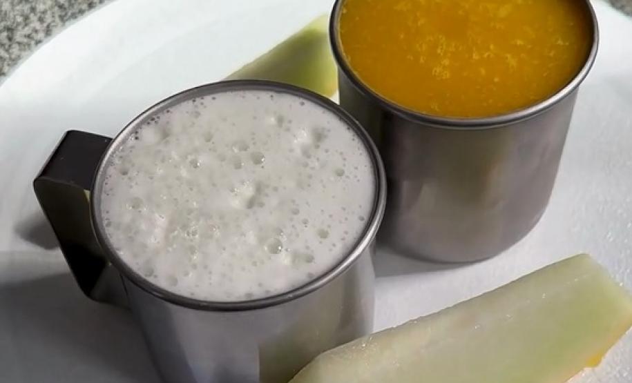 Governo do Paraná inclui água de coco no cardápio da alimentação escolar