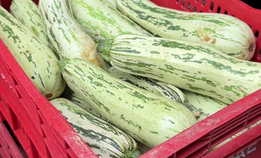 Foto: Anderson Carvalho