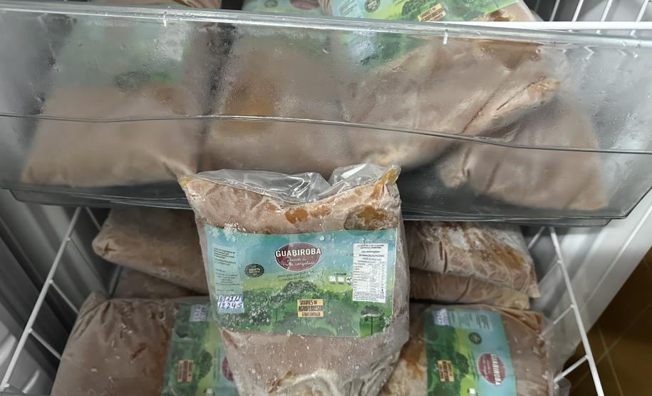 Com R$ 1 bilhão investidos, Fundepar apresenta balanço do primeiro semestre de 2025