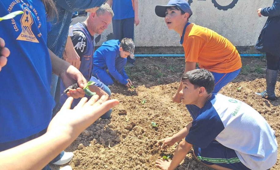 Entrega de guarda-chuvas