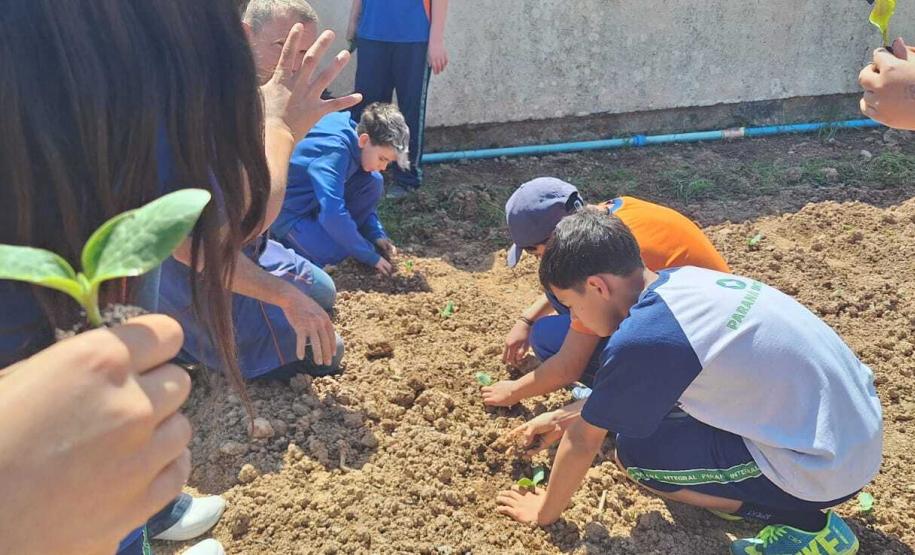 Entrega de guarda-chuvas