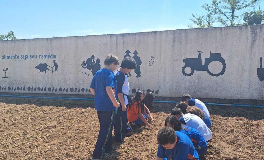 Entrega de guarda-chuvas