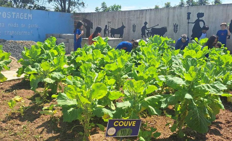 Entrega de guarda-chuvas