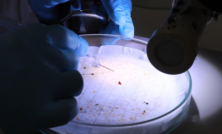 Análise de alimentos