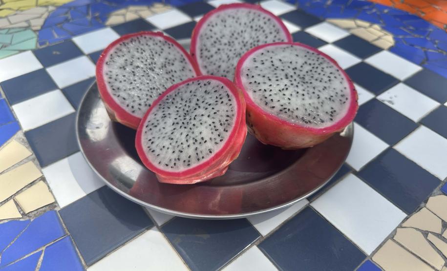 Pitaya
